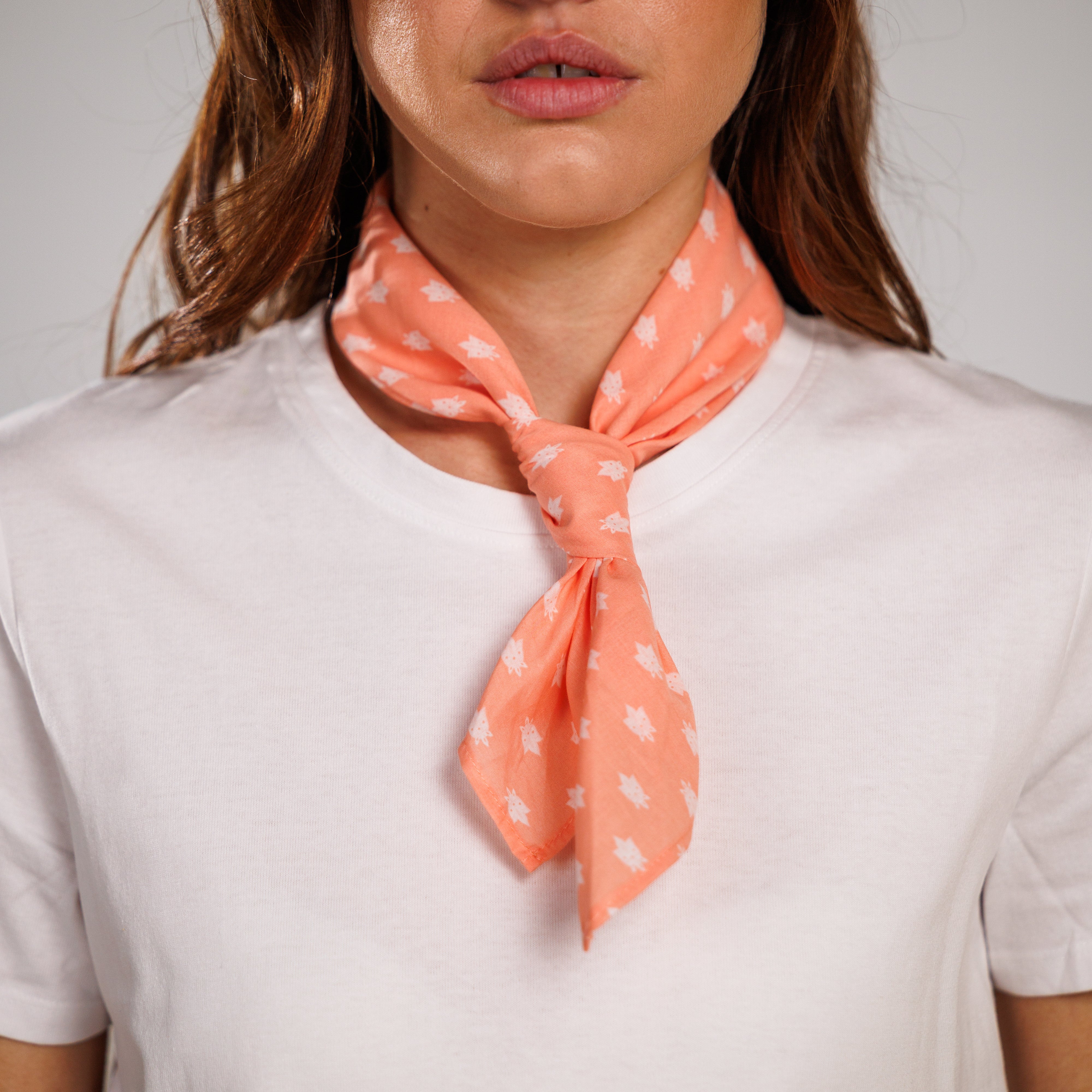 BANDANA MOSCA Rose Flamingo